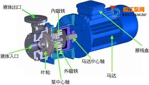 CQ型不銹鋼磁力泵結構